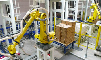 Zibo Economic Development Zone Forklift Management 